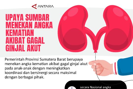 Upaya Sumbar Menekan Angka Kematian Akibat Gagal Ginjal Akut