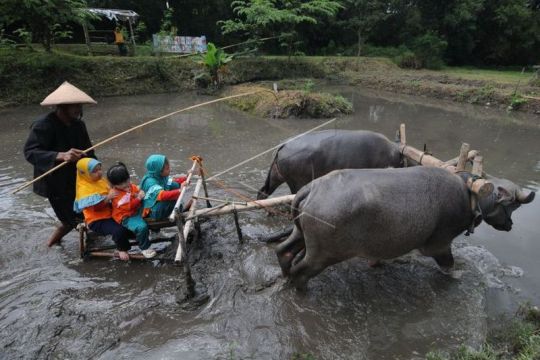 Wisata Kampung Dolanan Sidowayah Page 1 Small