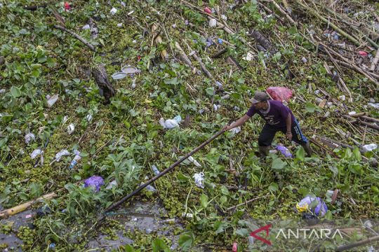 Sungai Martapura Tertutup Sampah