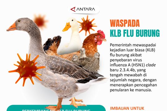 Waspada KLB flu burung