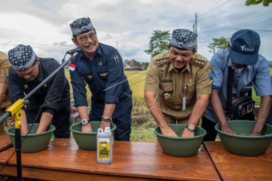 Menteri Pertanian panen raya padi di Kabupaten Semarang Page 2 Small
