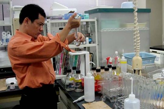 Pakar ingatkan dampak El Nino terhadap pertanian