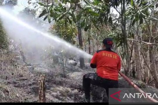 BPBD Bangka: lahan komplek perumahan terbakar