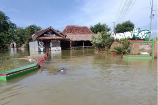 Satu desa di Pati masih terdampak banjir
