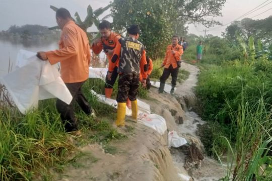 Antisipasi banjir, Pemkab Grobogan perkuat tanggul sungai