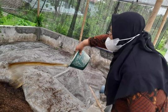 Kota Tegal mulai memanfaatkan pupuk organik berbahan limbah