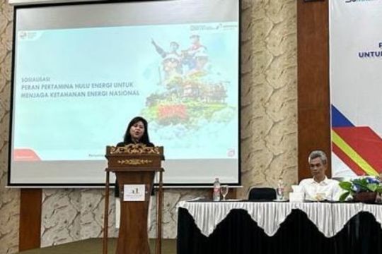 Anggota DPR apresiasi peran Pertamina Hulu Energi jaga ketahanan energi