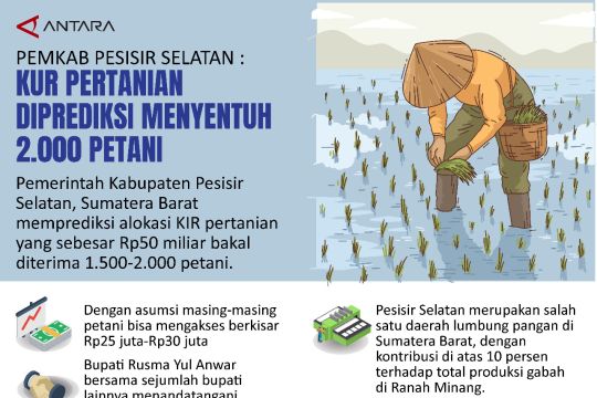 Pemkab Pesisir Selatan : KUR pertanian diprediksi menyentuh 2.000 petani