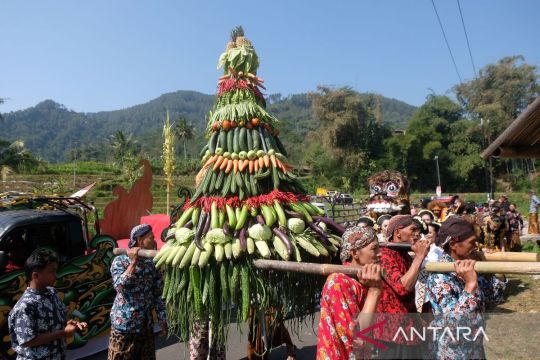 Tradisi Manten Tembakau di Gunung Sumbing Page 1 Small