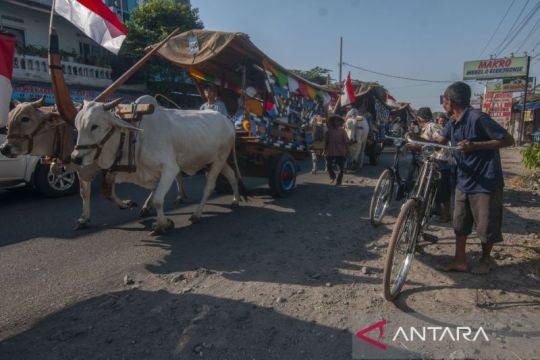 Pawai gerobak sapi di Klaten Page 1 Small