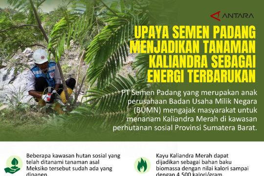 Upaya Semen Padang menjadikan Tanaman Kaliandra sebagai Energi Terbarukan