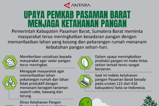 Upaya Pemkab Pasaman Barat menjaga ketahanan pangan