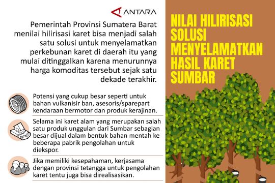 Nilai hilirisasi solusi menyelamatkan hasil karet Sumbar