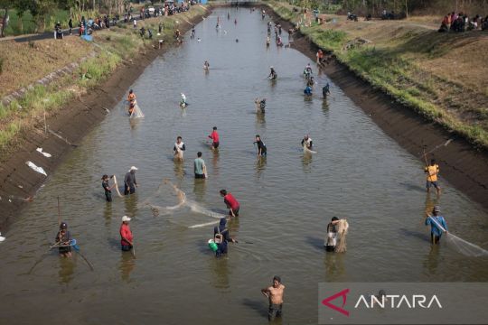 Warga mencari ikan saat penutupan sementara Bendungan Colo Page 2 Small