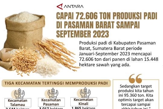 Capai 72.606 ton Produksi padi di Pasaman Barat sampai September 2023