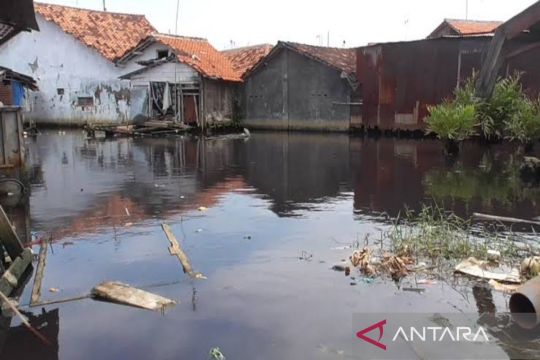 Pemkot  Pekalongan prioritaskan penataan kawasan kumuh rawan banjir