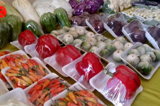 UMKM Aspakusa perluas pasok sayur ke ritel modern