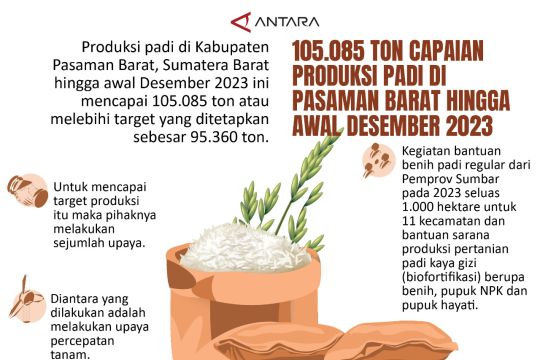 105.085 ton capaian Produksi padi di Pasaman Barat hingga awal Desember 2023