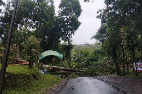 BPBD Banyumas ingatkan warga peningkatan kecepatan angin