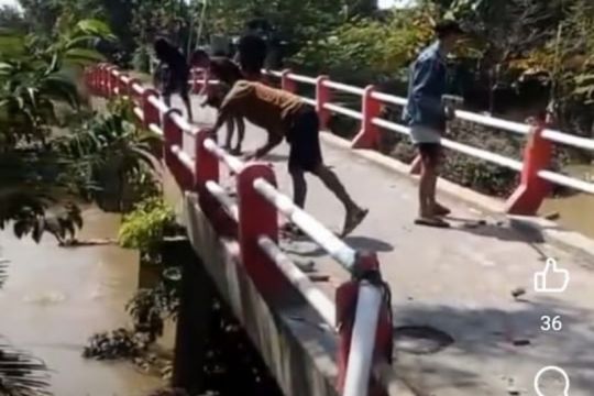 Rusak jembatan demi truk sound, polisi tangkap 9 orang termasuk Kades Babatan Demak