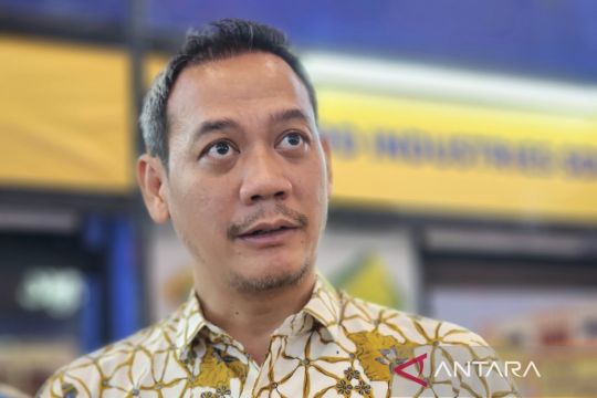 Kadin:  Jateng butuh bandara sebagai pintu masuk internasional