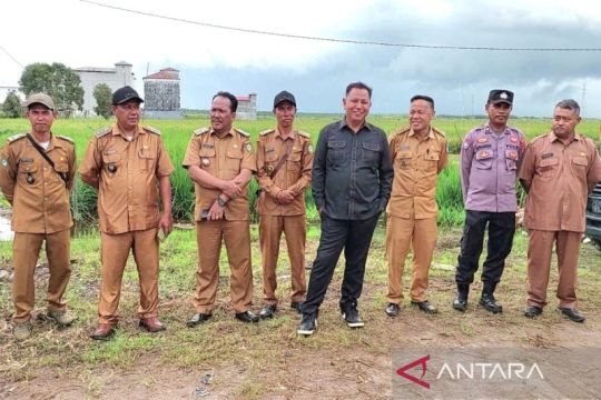 Legislator Kotim minta irigasi di kawasan lumbung padi dibenahi