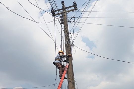 PLN Icon Plus rutin lakukan patroli dan perapihan utilitas