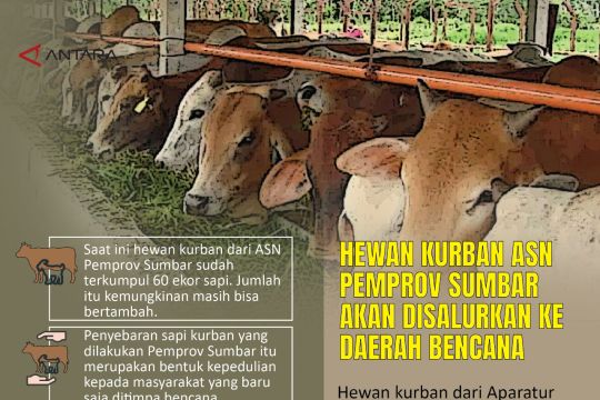 Hewan kurban ASN Pemprov Sumbar akan disalurkan ke daerah bencana