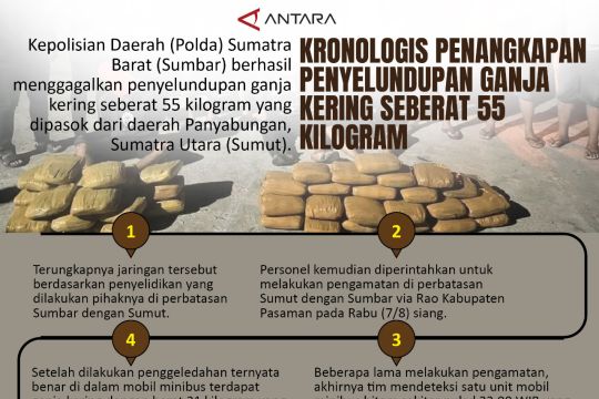 Kronologis penangkapan penyelundupan ganja kering seberat 55 kilogram