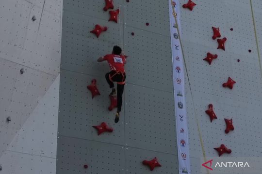 Panjat tebing - Veddriq lolos ke perempat final nomor  speed perorangan