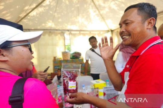 Tingkatkan produksi, BI bantu alat pengering cabai ke petani