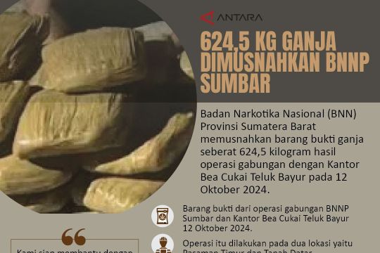 624,5 kg ganja dimusnahkan BNNP Sumbar