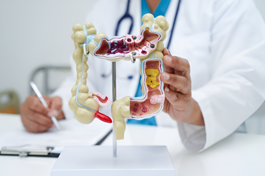 Forum ilmiah kenalkan terapi presisi untuk penyakit saluran cerna dan hati