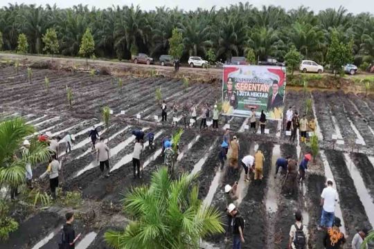 DPRD Kapuas dukung program penananman jagung untuk ketahanan pangan