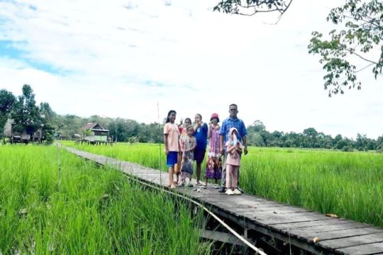 Legislator Barut: Petani Desa Bintang Ninggi II minta infrastruktur pertanian