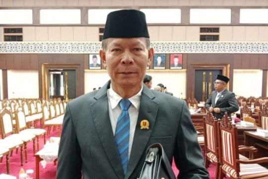 Legislator Kalteng sebut perlu strategi kembangkan pertanian dan peternakan
