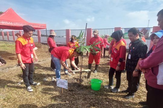 Alfamart tanam matoa wujud komitmen jaga lingkungan di Kota Semarang