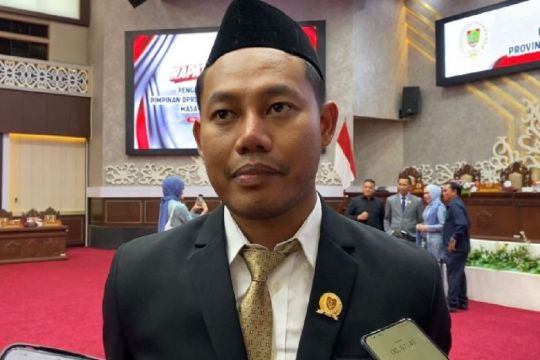 Legislator Kalteng: Jaga warisan sejarah melalui revitalisasi cagar budaya