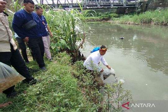 Ribuan benih ikan ditebar pulihkan ekosistem sungai di Kudus