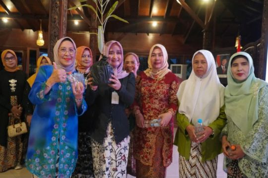 Wakil Wali Kota Tegal refleksikan perjuangan R.A. Kartini