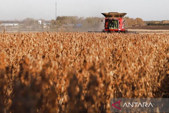 China perkuat produksi "lumbung biji-bijian" dengan mesin tani modern di Heilongjiang