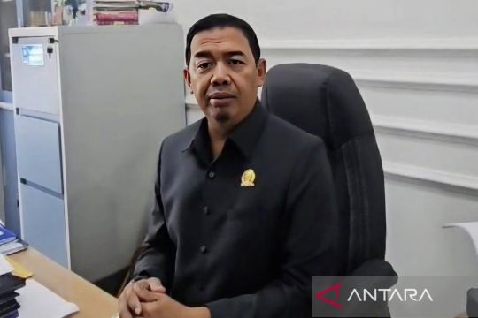 Legislator minta pemkot libatkan kader posyandu pada puncak HUT Palangka Raya