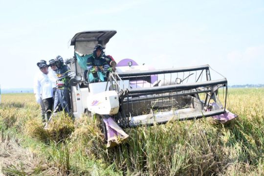 Lumbung  Pangan Baznas ciptakan kemandirian pangan