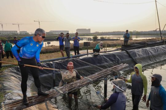 Jateng hasilkan 3,1 ton udang vaname  di kawasan industri