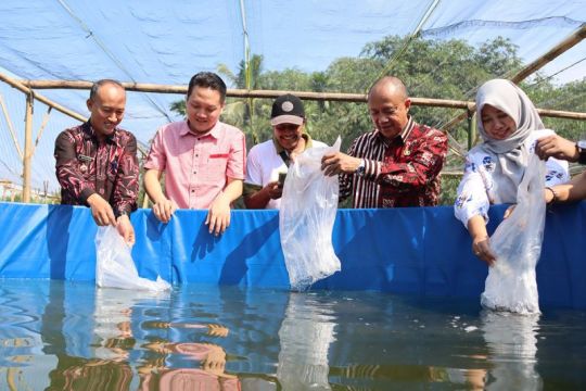 Pemkab Banyumas serahkan hibah bibit ikan  dan ternak