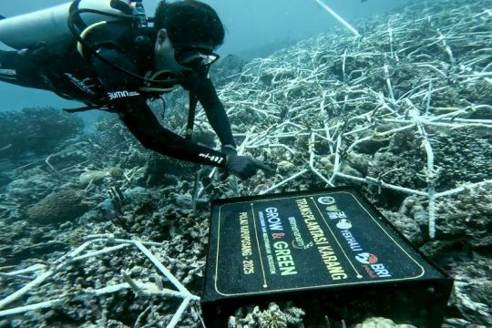 BRI pertegas komitmen jaga ekosistem lingkungan