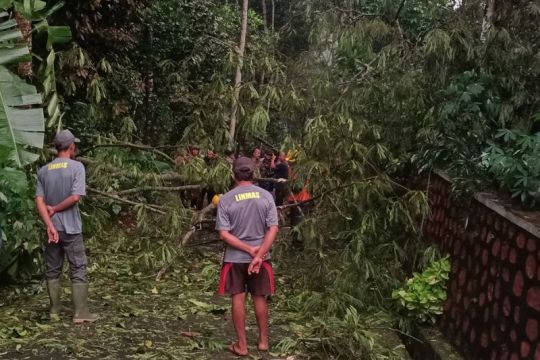 Angin puting beliung hajar Banyumas, ini tindakan BPBD