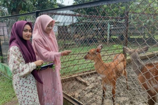 Ada tiga satwa baru di Semarang Zoo