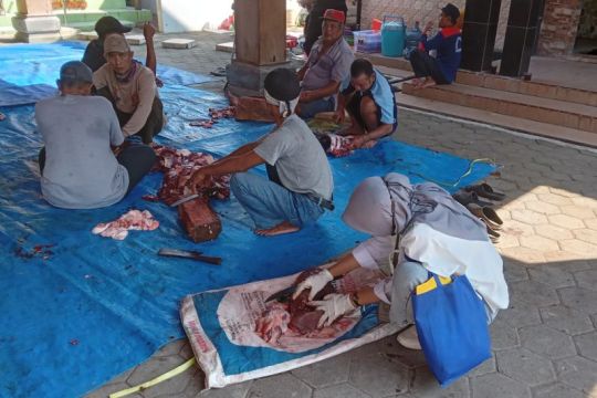 Temuan cacing hati di hewan kurban