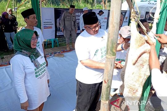Baznas  RI sembelih 7.000 hewan kurban di 10 provinsi